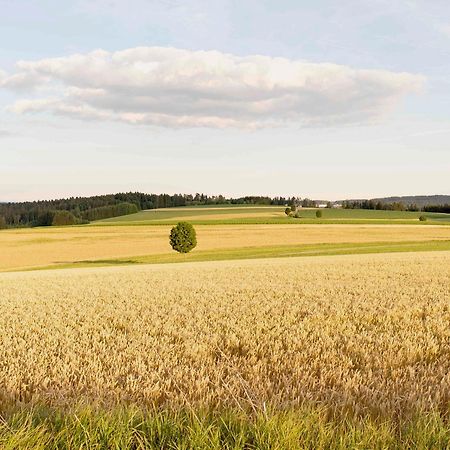 Bantlehof Daire Niedereschach Dış mekan fotoğraf